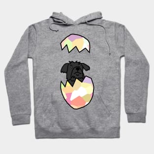 Cute Dog Popping out of Funny Easter Egg Hoodie